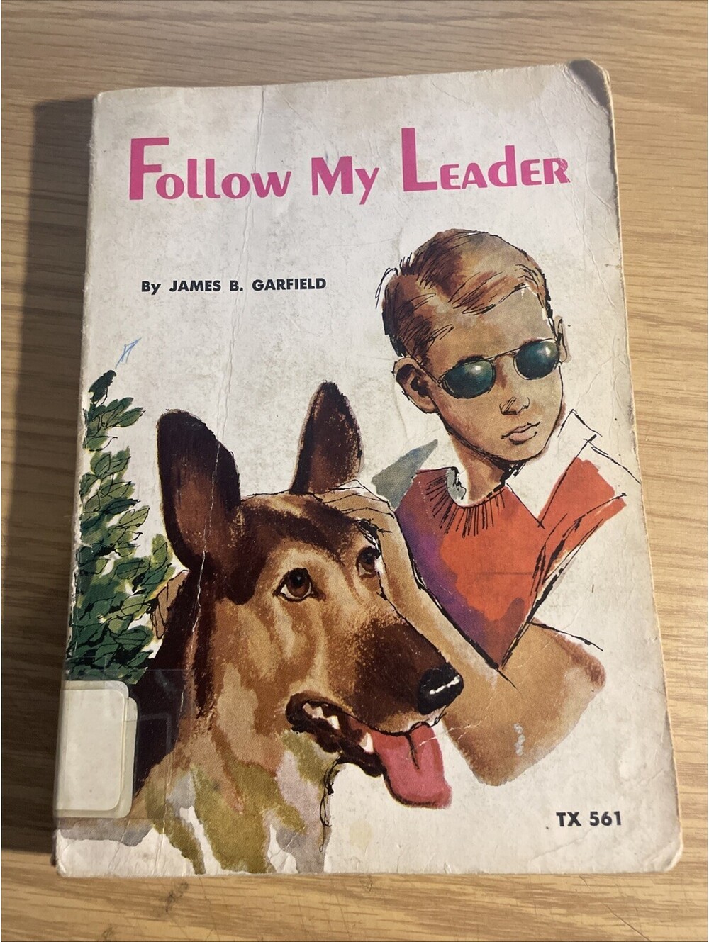 Follow My Leader by James B. Garfield 1957 Paperback Illustrated Robert Greiner - Picture 1 of 7